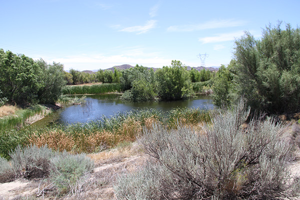 Large pond in the McCain Ranch