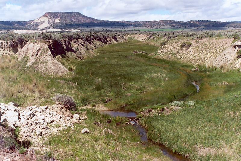 Camp Creek, near Prineville, Oregon