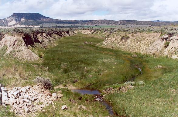 Camp Creek under recovery, as seen in May 2004