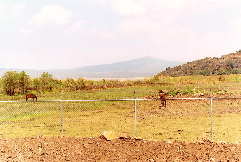 View of Patzcuaro Lake, downstream of the constructed wetland