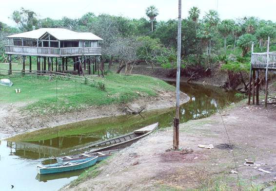 A stream in the Lower Chaco, Paraguay (1992). Houses on stilts help cope with frequent floods.