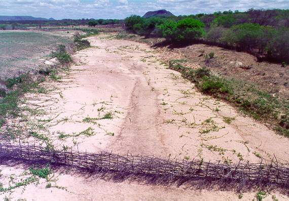 Riacho Santo Domingos, in the serto (backlands) of Pernambuco, northeastern Brazil (1993). Note makeshift fence across the stream. 