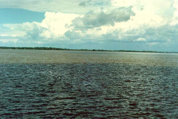 Confluence of the Negro river with the Amazon river near Manaus, Brazil, showing the dark, humic waters of the Negro in the foreground, and the silty waters of the Amazon in the background