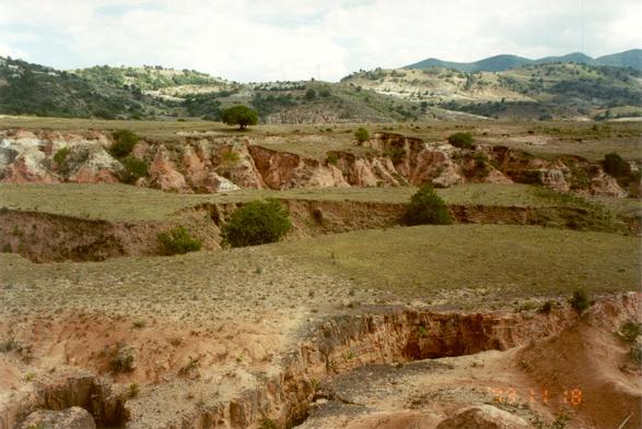 Gullies in the Mixteca Alta, Oaxaca, Mexico (1999) 