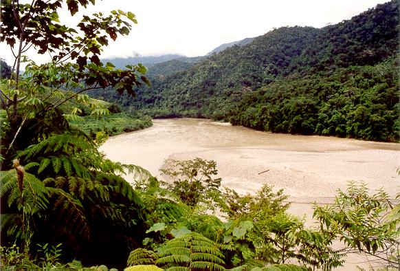 The Rio Maraon at Pongo de Rentama, Bagua, Amazonas, Peru (2003). 