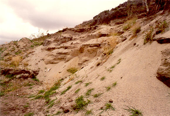View of Joe Bill Canyon, in Tecate Creek, Baja California, Mexico