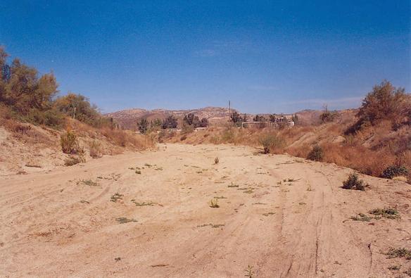 View of Tecate Creek, downstream of bridge over Highway 2 (2003). 