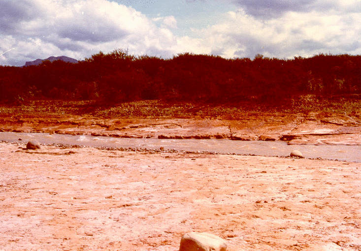 Pirai river between Villa Carmen and Jorochito, showing sedimentary rock outcrop on both banks; Santa Cruz department, Bolivia.