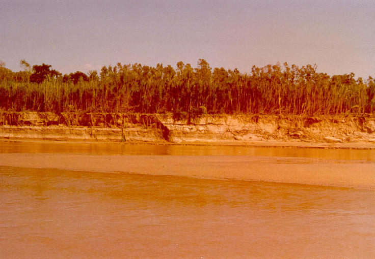 Pirai river at Ingenio UNAGRO, showing erosion on left bank, Santa Cruz de la Sierra, Santa Cruz department, Bolivia.