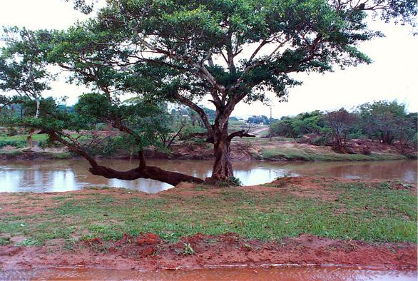 Apa river at Bella Vista, Mato Grosso do Sul, Brazil (1992).