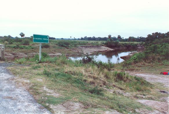 Rio Aguara Guazu, in the Chaco, Paraguay (1992)