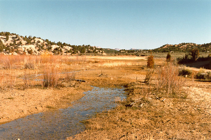 Sheep Creek Barrier Dam, Utah, in the background, viewed from the reservoir