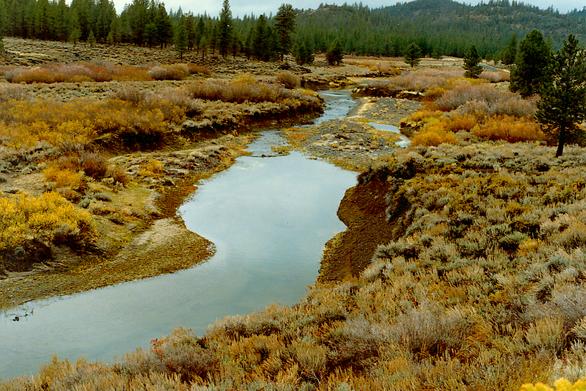 Last Chance Creek, in the Feather river watershed, Northern California (1989).  