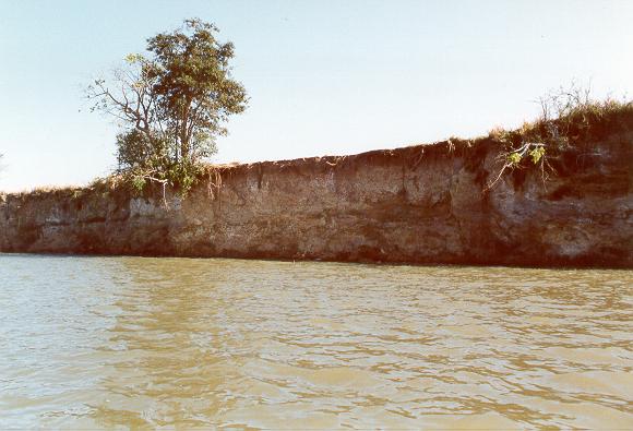 Bank erosion on the Rio Apa, on the border between Brazil and Paraguay.