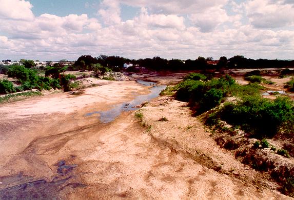 Rio Paje at Floresta, looking upstream, in the serto (backlands) of Pernambuco, Brazil. 