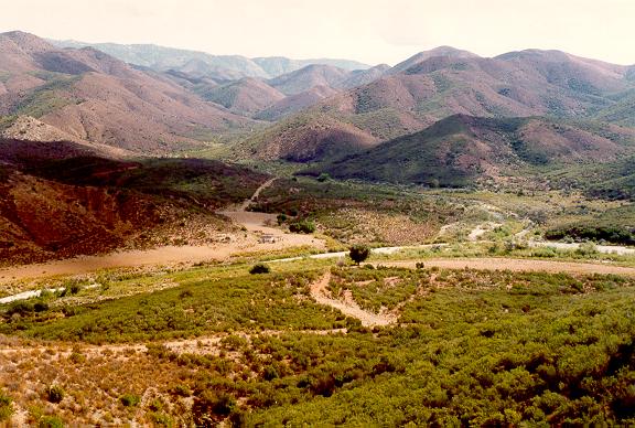 Locality of Valladares, in the Sierra San Pedro Martir, Baja California, Mexico.