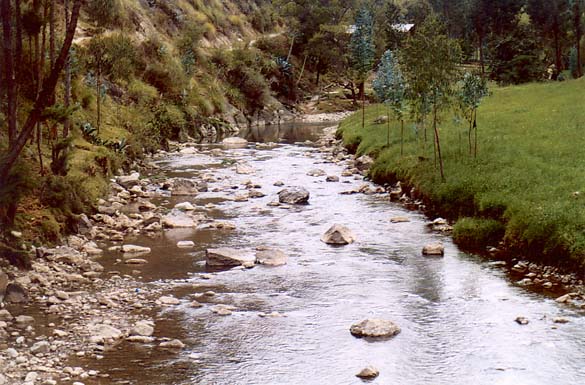 Chonta river, Cajamarca, Per