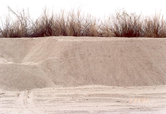 Vertical cut showing 2.3 m depth  of sand mining at El Barbon Wash, Baja California, February 23, 2002.