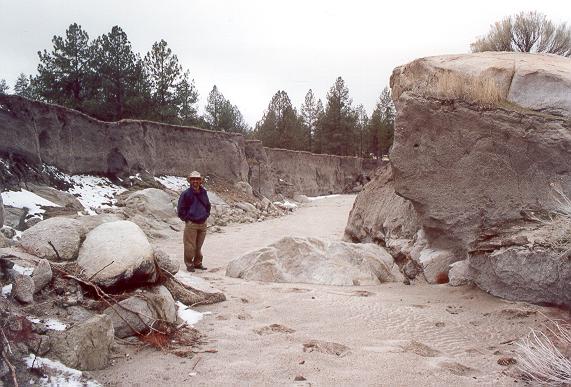 A. V. Shetty standing inside gully which developed in Rancho Las Cuevitas, in the Sierra Juarez, during 1992 flood