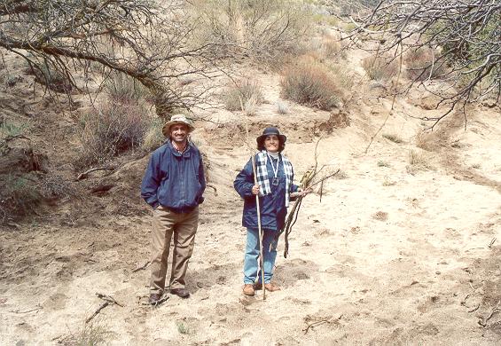 Shetty and botanist Alicia Venegas inspecting a tributary wash of Arroyo San Salvador, Sierra Juarez, Baja California, March 16, 2002.