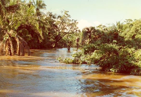The Chane river at flood stage, January 19, 1990 (Santa Cruz, Bolivia)