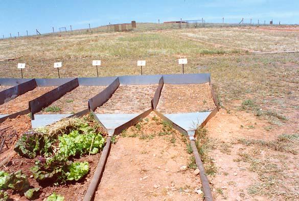 Experimental plots to measure sediment production near Evora, Portugal.
