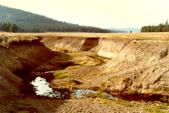 Incised gully at Dotta Canyon, 
in the Feather river watershed, Northern California
