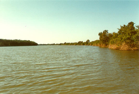 Rio Apa, on the border between Brazil and Paraguay (1992).