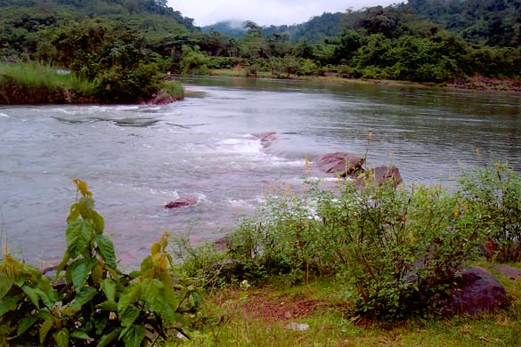 Nam Leuk River downstrean of Nam Leuk Dam.