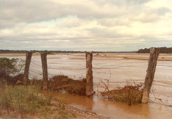 Pirai river, downstream of Taruma Bridge.