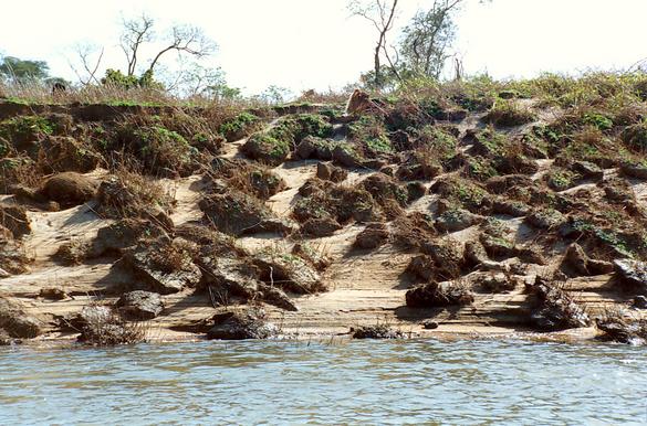Bank erosion on the Rio Apa, on the border between Brazil and Paraguay (1992)