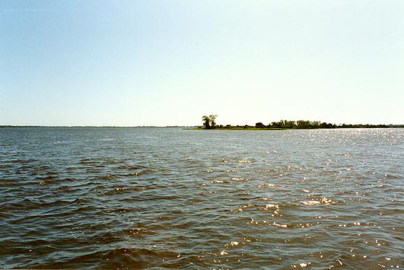 Rio Paraguay, on the border between Brazil and Paraguay (1992).
