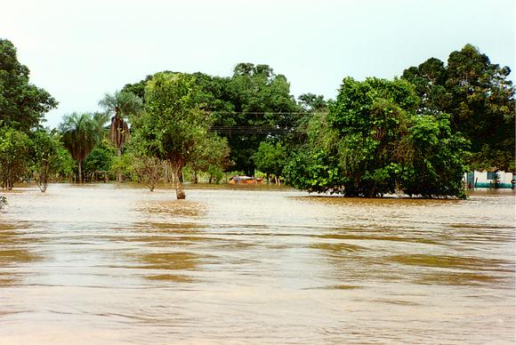 Flood stage on the Rio Cuiaba, Mato Grosso, Brazil, on January 10, 1995.