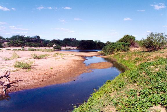 Rio Pajeu, in the backlands of Pernambuco, Brazil (1992).