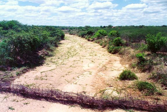 Riacho Santo Domingos, in the backlands of Pernambuco, Brazil (1992). 