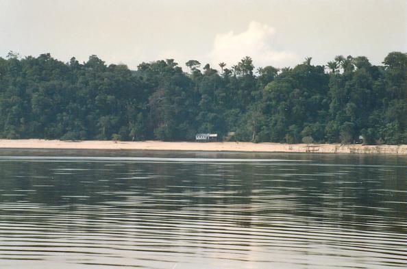 Shores of the Rio Negro, Amazonas, Brazil (1989).
