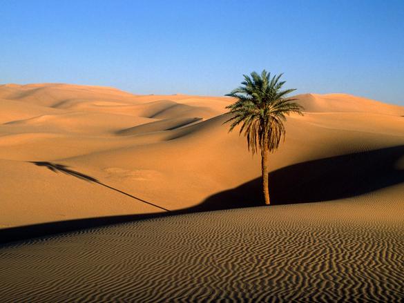 The Sahara Desert