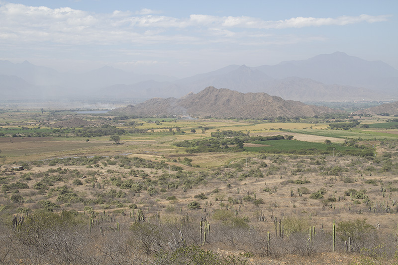 Vista del Valle de Zaña.