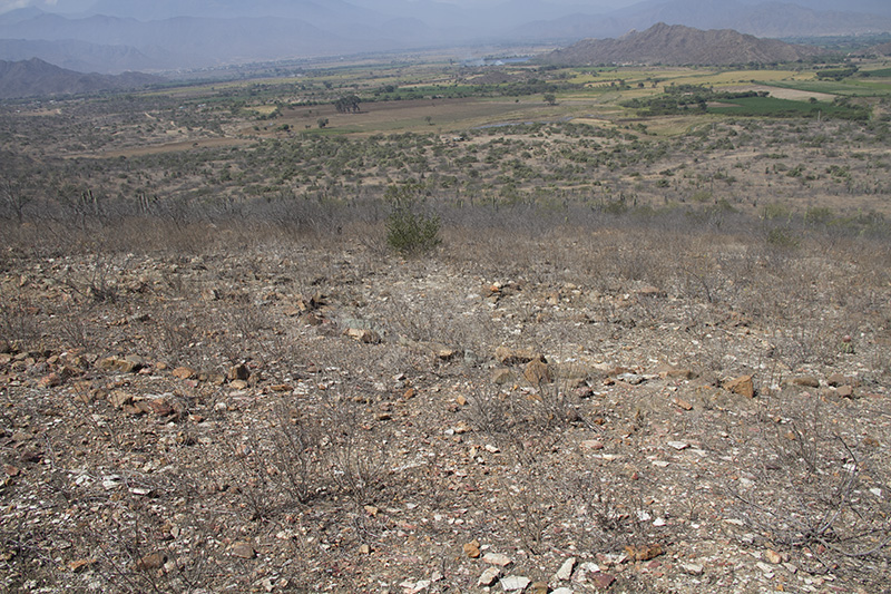 Vista del Valle de Zaña.