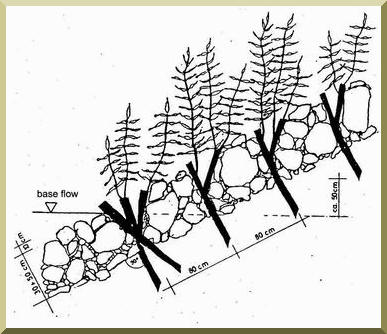 Live staking:  Schematic 