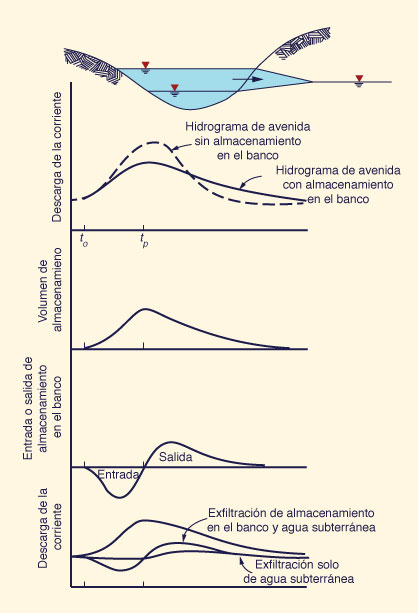 Effect of bank storage on flood hydrograph magnitude and shape