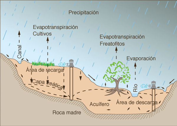 Groundwater flow through an unconfined acquifer