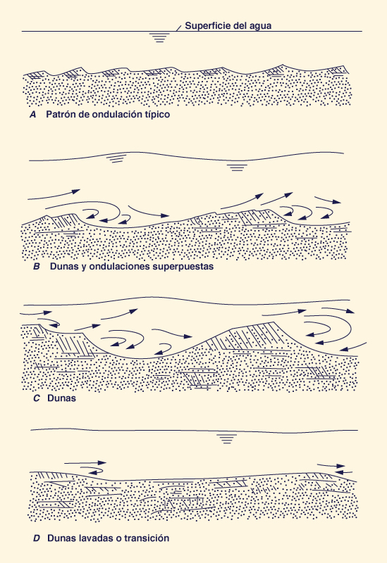 Forms of bed roughness in alluvial channel