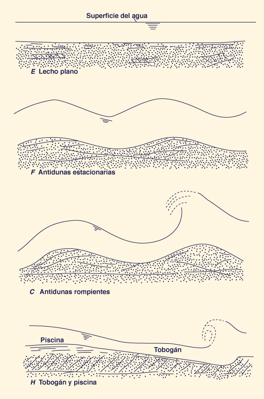 Forms of bed roughness in alluvial channel