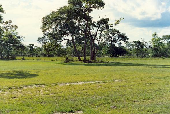 Pantanal of Mato Grosso, Brazil
