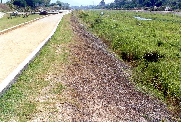 Detail of the bank protection with gabions on the left margin