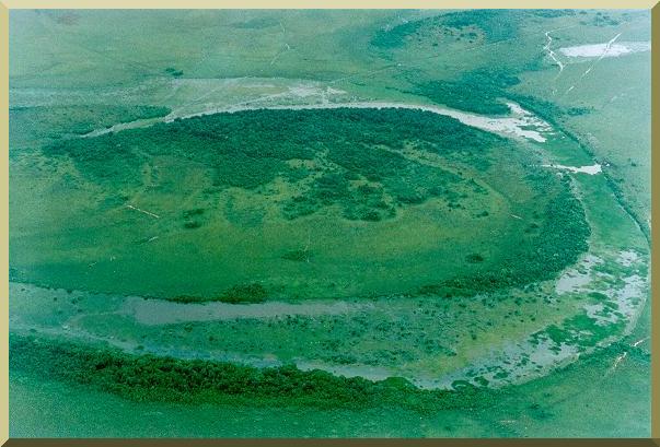 An ancient oxbow lake in the flood plain of the Rio Meta, Meta department, Eastern Colombia