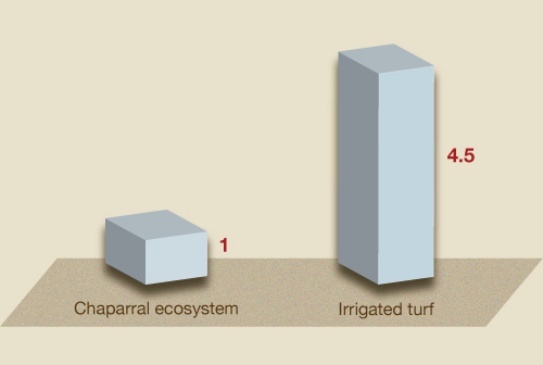 Relative evapotranspiration of chaparral ecosystem and Maderas turf