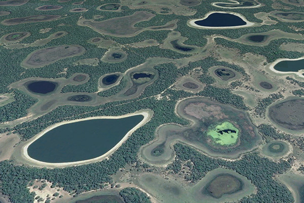 Salt ponds in the Pantanal of Mato Grosso, Brazil.