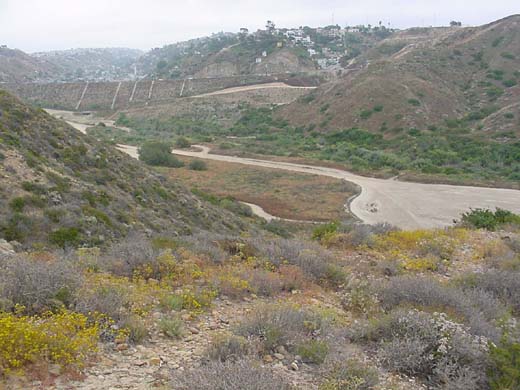 View of Goat Canyon, showing sedimentation delta
